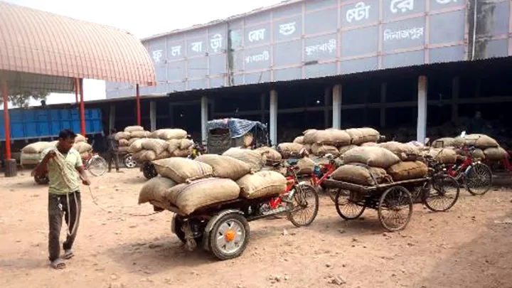 ফুলবাড়ীর হিমাগারে আলু সংরক্ষণ জায়গা নেই, আলু নিয়ে বিপাকে কৃষক